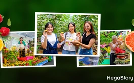 Lễ hội trái cây Nam Bộ 2025: từ mùa vụ đến văn hóa