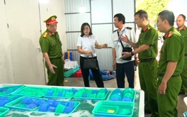 Tiêu hủy gần 850.000 con tôm hùm giống nhập lậu trị giá 34 tỉ đồng