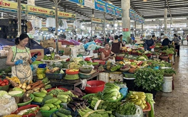 Đà Nẵng khởi động dự án chợ đầu mối nông sản lớn nhất miền Trung