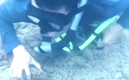 Nhắc nhở hành vi của TikToker đăng clip ngắm san hô ở Hòn Chồng, Nha Trang