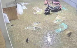Lũ ống đổ về trong đêm, nhiều tài sản của người dân bị cuốn trôi