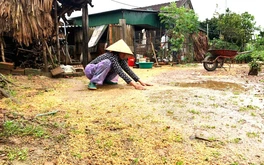 Cả vụ mùa bị trận lũ quá bất thường cuốn trôi trong đêm