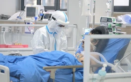 Chủng COVID-19 mới đang lưu hành ở Việt Nam có đáng lo ngại?