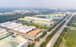 Công ty Nhơn Tân: Hành trình phát triển đa ngành