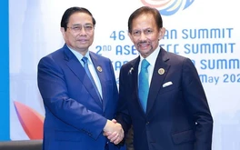 Quốc vương Brunei muốn thăm Việt Nam trong năm nay
