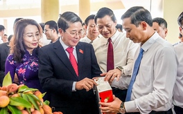 Đề nghị tạo 'luồng xanh' cho vải thiều Bắc Giang vào Trung Quốc