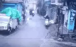 Bò 'lái' xe máy lao vun vút trên đường, dân mạng đoán: 'Chắc định mua xe'
