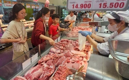 Giá heo quay đầu tăng, miền Nam tiếp tục là khu vực tăng giá mạnh nhất