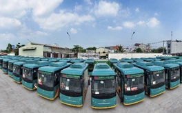 Miễn vé đi 28 tuyến xe buýt ở TP.HCM cho khách thanh toán không tiền mặt ngày 16-6