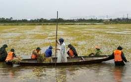 Thời tiết hôm nay 14-6: Miền Trung nắng lại sau mưa bão, miền Bắc mưa rào
