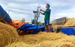Thương hồ theo những mùa rơm