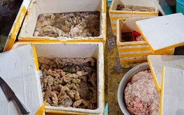 Phát hiện cơ sở xả thải ô nhiễm, thu giữ 3,5 tấn mỡ và lòng động vật không rõ nguồn gốc