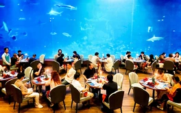Phú Quốc có gì mà khách Trung Quốc nhộn nhịp đến chơi?