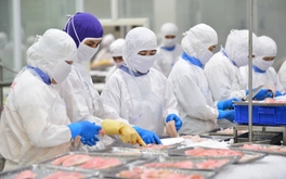 Thủy sản Việt tăng tốc ấn tượng, VASEP kiến nghị Thủ tướng có biện pháp bảo vệ