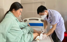 Một bệnh viện tiếp nhận 20 bệnh nhân bị chó cắn trong 1 tháng
