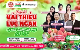 Vải thiều đã chín đỏ trên siêu thị online Sendo Farm