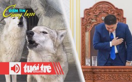 Điểm tin 8h: Nhật tính thả sói để khôi phục cân bằng sinh thái; Thủ tướng Mông Cổ từ chức