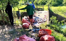 Cá chết la liệt do bị cuốn vào tua bin nhà máy thủy điện