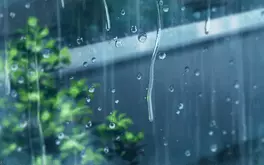 Vì sao trời mưa khiến ta buồn ngủ?