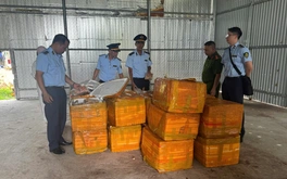 Chống buôn lậu, hàng giả 5-6: Hàng tấn trứng gà non không rõ nguồn gốc đựng trong thùng xốp