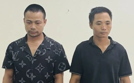 Một cán bộ hải quan bị bắt vì khai thác gỗ rừng trái phép