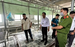 Vụ Công ty C.P. bị tố bán thịt heo bệnh: Hậu Giang nói không có dịch bệnh như phản ánh