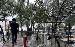 'Xẻ thịt' đất rừng phòng hộ để làm quán nhậu
