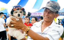 Hơn 300 thú cưng xúng xính váy áo dự hội thi ở Mỹ Tho