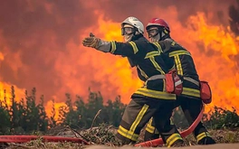 Châu Âu chìm trong nắng nóng kỷ lục, cháy rừng hoành hành