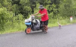 Người đàn ông cùng chú ngỗng đi bộ khắp Việt Nam