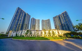 Phiên livestream đặt giá NobleGo: Khách sở hữu căn hộ Sunshine City rẻ hơn 2 tỉ đồng