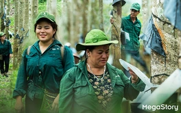 Hành trình xanh của cao su trên mảnh đất cực Tây Tổ quốc