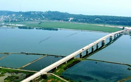 Huế: Điều tra vụ phá rừng phòng hộ ven biển bị chặt phá hơn 2,5ha