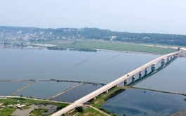 Huế: Điều tra vụ phá rừng phòng hộ ven biển bị chặt phá hơn 2,5ha