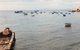 Về nhà là hành trình tuyệt vời nhất trong tim