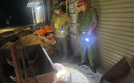 Người chăn nuôi giấu dịch đang khiến dịch tả heo châu Phi lan rộng
