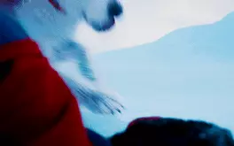 Hàng trăm chú chó được nhận nuôi nhờ cơn sốt siêu khuyển Krypto của Superman