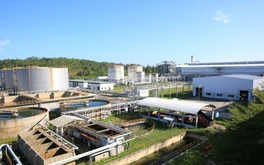 BSR đã sẵn sàng bán xăng E10