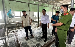 Vụ C.P. Việt Nam bị tố bán heo bệnh: Không khởi tố vụ án vì không có dấu hiệu tội phạm
