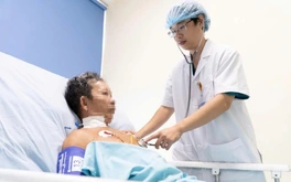 30 vết đốt của ong vò vẽ khiến người đàn ông hôn mê
