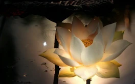 Bác sĩ, thầy thuốc ưu tú Nguyễn Kim Thu qua đời