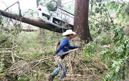 Thiên tai ngày càng khó dự báo