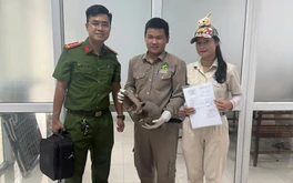 Đầu bếp nhà hàng ở Đà Nẵng mua tê tê quý hiếm, bị tạm giữ cùng 2 người bán
