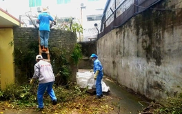 Rò rỉ hóa chất tại nhà máy bột giặt VICO làm dân bị ngất, cây sém lá: Công an vào cuộc xác minh