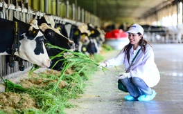 Trang trại phát triển bền vững có gì đặc biệt?