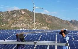 Nỗi lo khát 'nhân sự xanh'