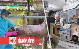 Điểm tin 18h: Dịch tả heo châu Phi lan mạnh; Đông Nam Á phát tiền để kích thích tiêu dùng