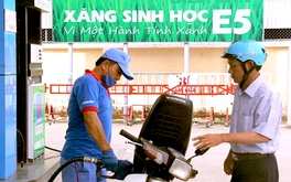 Xăng E10 thay xăng khoáng, ông lớn chiếm 50% thị phần thí điểm tại TP.HCM từ 1-8