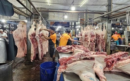 Thịt heo rớt giá, sức mua vẫn giảm vì dịch tả châu Phi