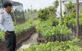 Vụ kiểm tra cơ sở cây giống gây xôn xao: Phạt chủ cơ sở hơn 3,7 triệu đồng